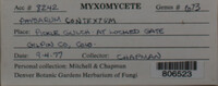 Image Associated With the Occurence